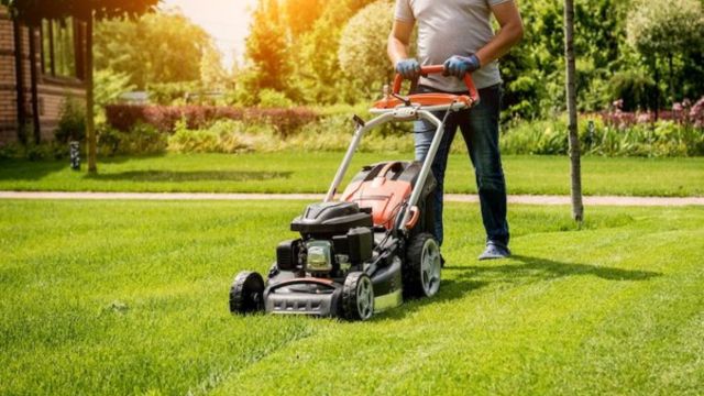 #1 Affordable Lawn Mowing & Lawn Care Services In Invercargill